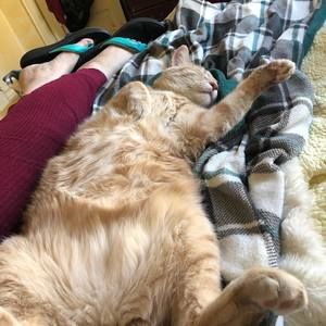 Meet your Posher, Kate